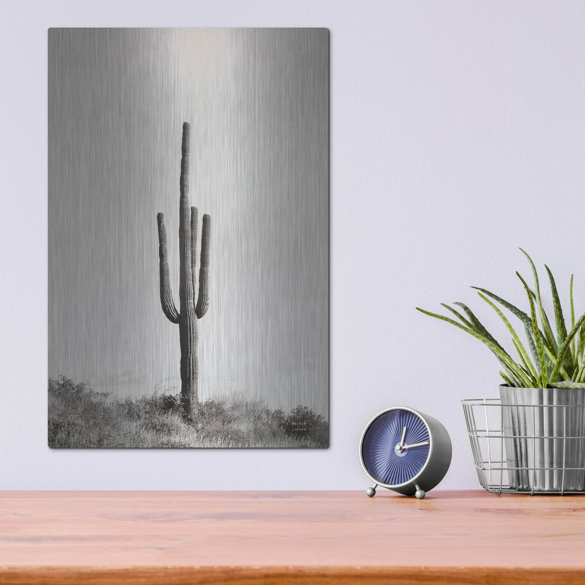 'Saguaro Afternoon' by Nathan Larson – Metal Wall Art, 12x16 room view