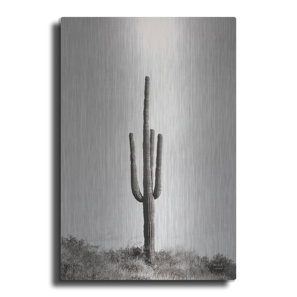 'Saguaro Afternoon' by Nathan Larson – Metal Wall Art