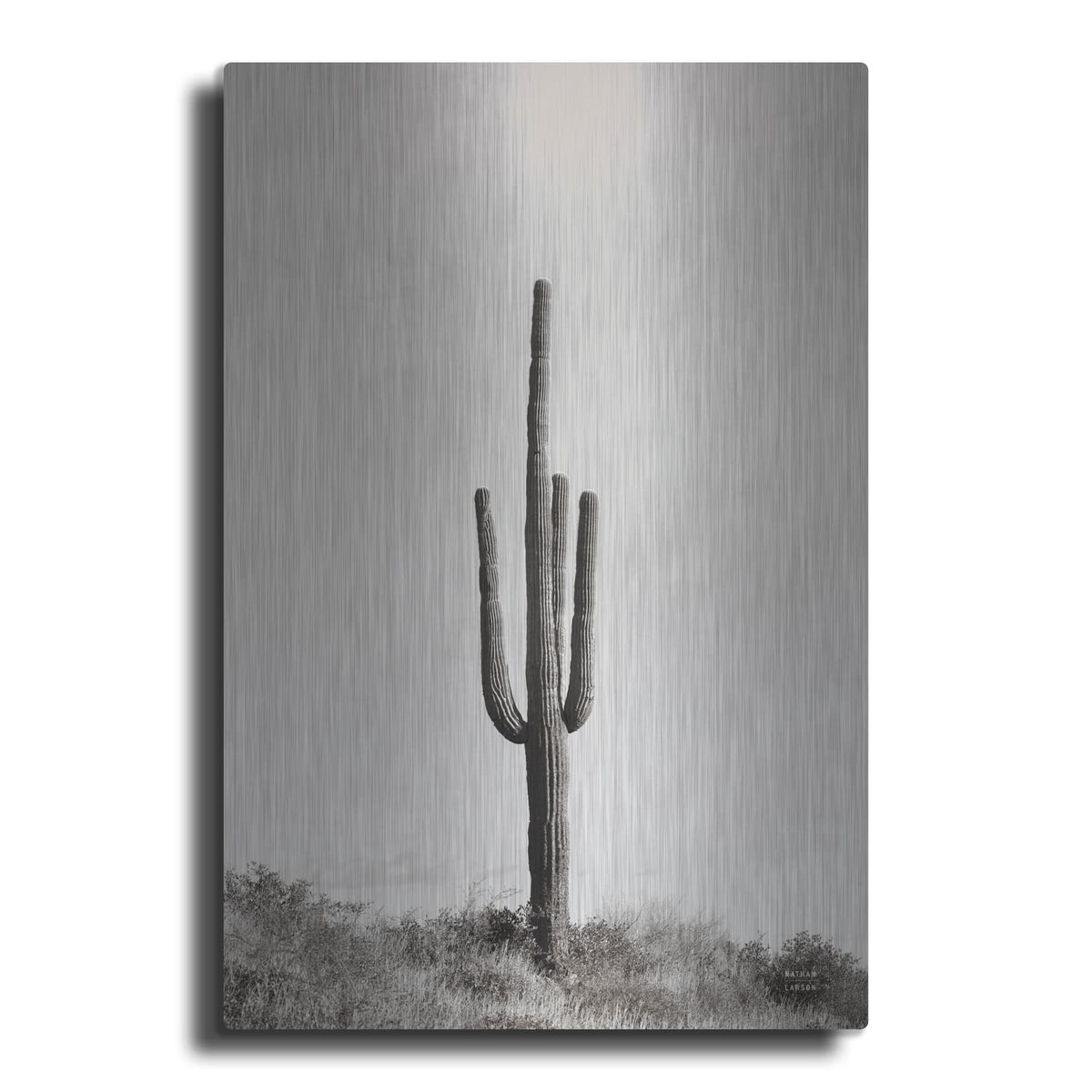 'Saguaro Afternoon' by Nathan Larson – Metal Wall Art