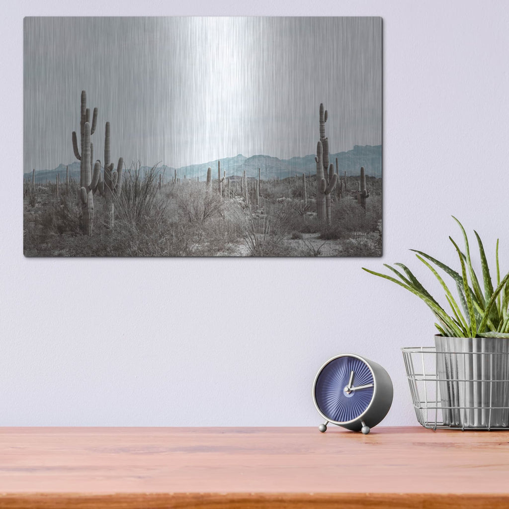 'Sonoran Wonderland' by Nathan Larson – Metal Wall Art, 16x12 room view