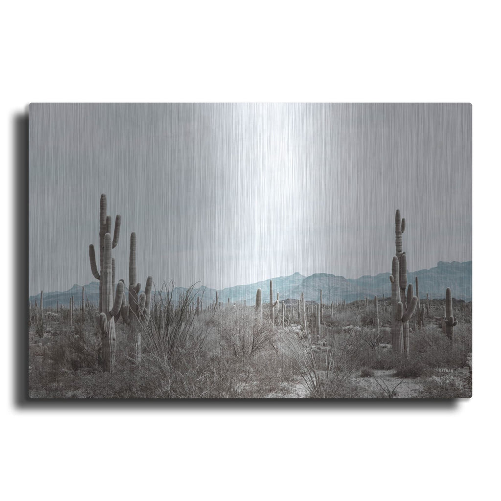 'Sonoran Wonderland' by Nathan Larson – Metal Wall Art