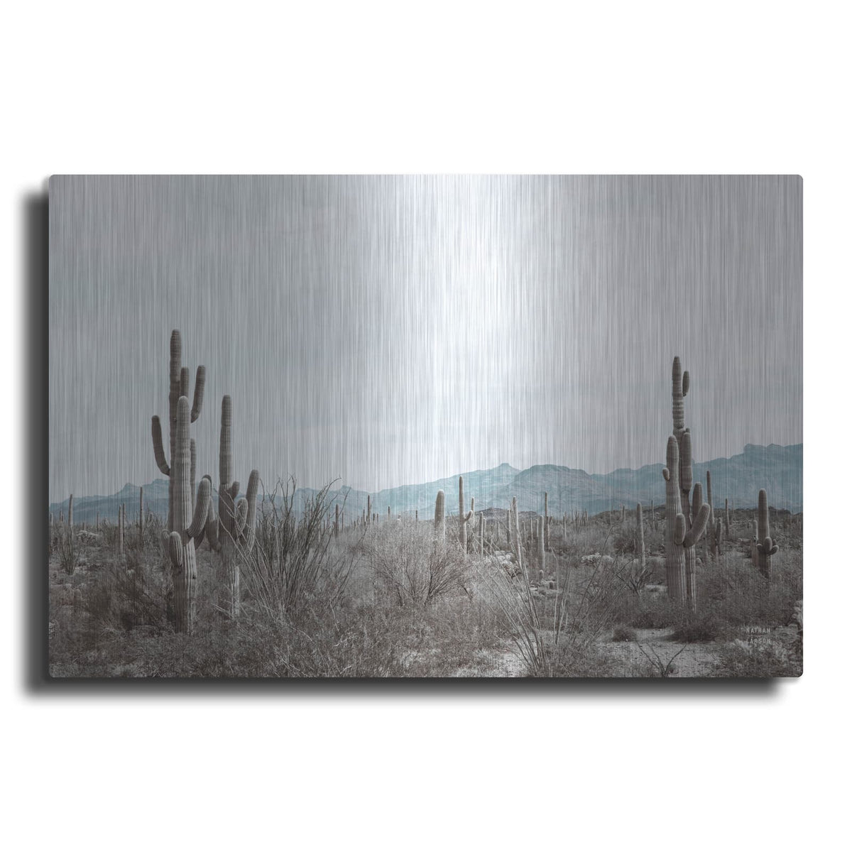 'Sonoran Wonderland' by Nathan Larson – Metal Wall Art