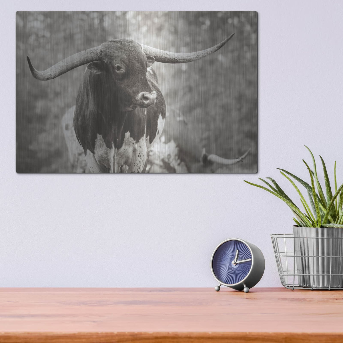 'Longhorn Gaze I Sepia' by Nathan Larson – Metal Wall Art, 16x12 room view