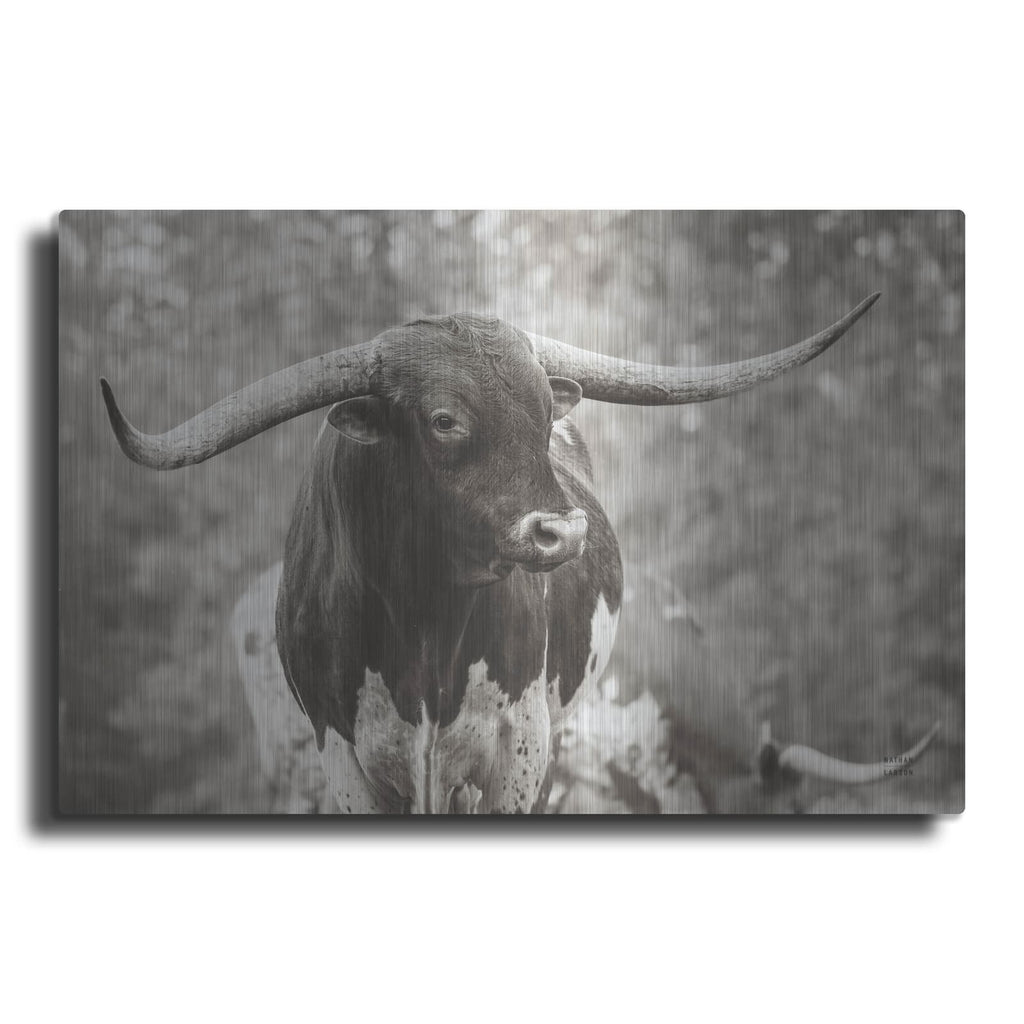 'Longhorn Gaze I Sepia' by Nathan Larson – Metal Wall Art