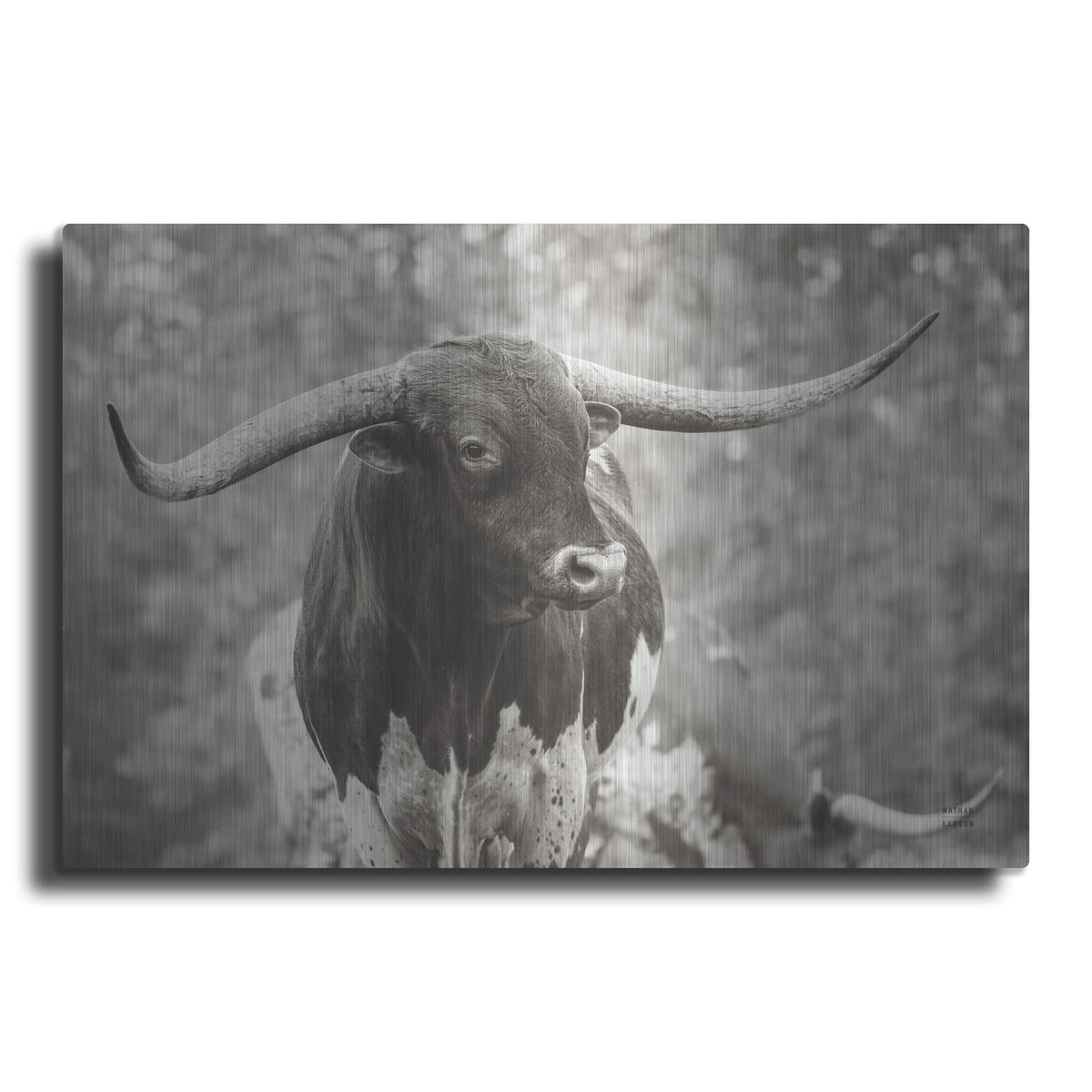 'Longhorn Gaze I Sepia' by Nathan Larson – Metal Wall Art