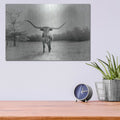 'Longhorn Backlit Aged' by Nathan Larson – Metal Wall Art, 16x12 room view
