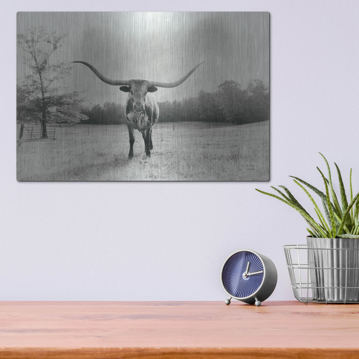 'Longhorn Backlit Aged' by Nathan Larson – Metal Wall Art, 16x12 room view