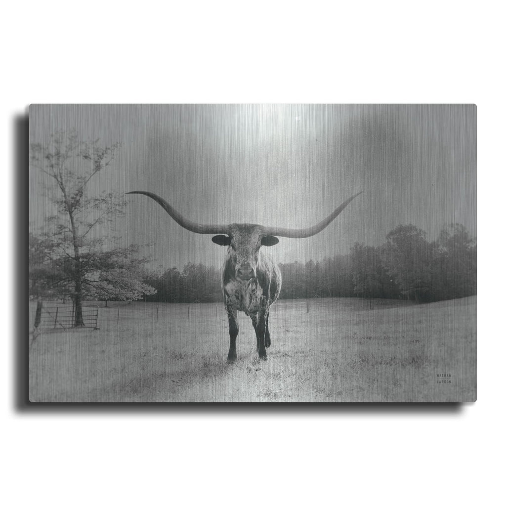 'Longhorn Backlit Aged' by Nathan Larson – Metal Wall Art