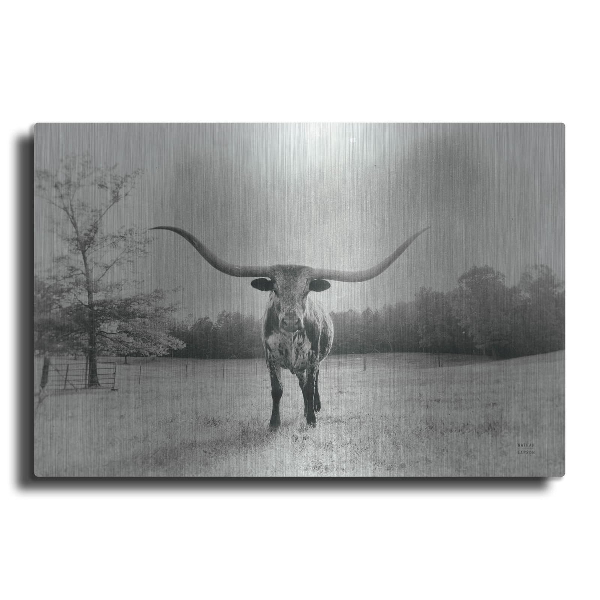 'Longhorn Backlit Aged' by Nathan Larson – Metal Wall Art