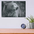 'Grizzly Snack' by Nathan Larson – Metal Wall Art, 16x12 room view