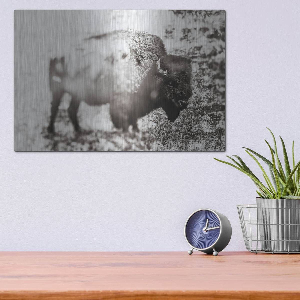 'Bison Dream' by Nathan Larson – Metal Wall Art, 16x12 room view
