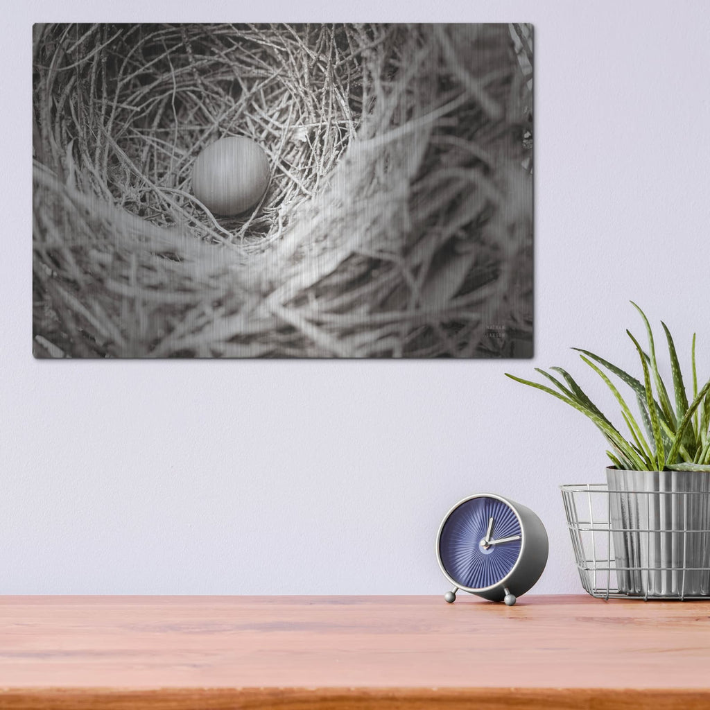 'Nesting' by Nathan Larson – Metal Wall Art, 16x12 room view