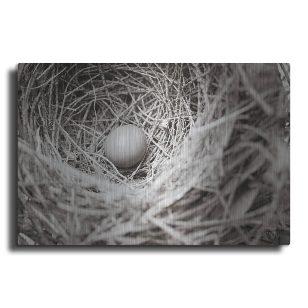 'Nesting' by Nathan Larson – Metal Wall Art