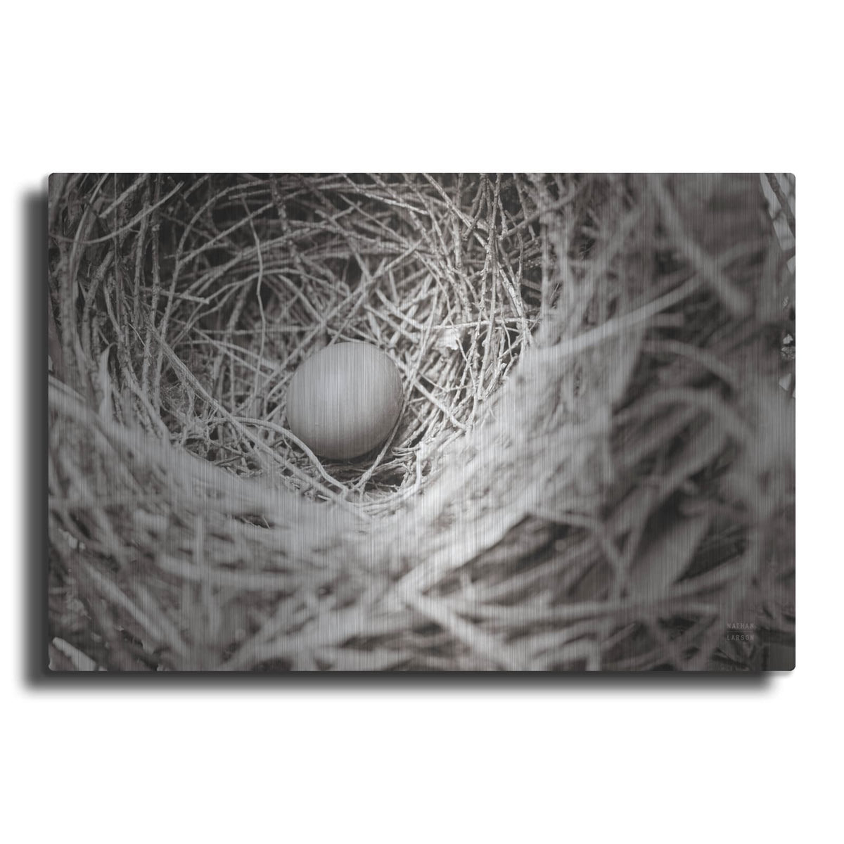 'Nesting' by Nathan Larson – Metal Wall Art