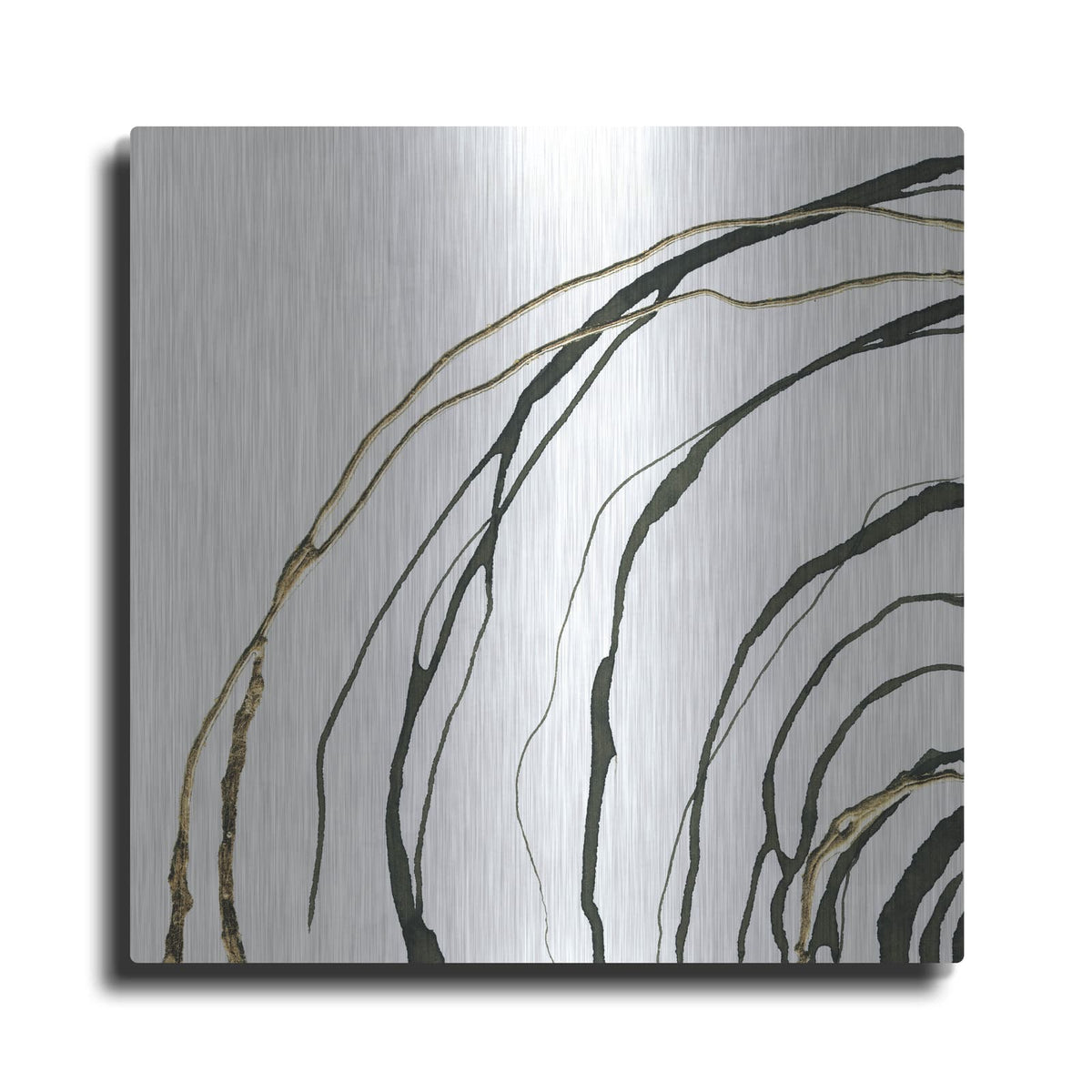 'Not Quite Concentric 1' by Chris Paschke – Metal Wall Art
