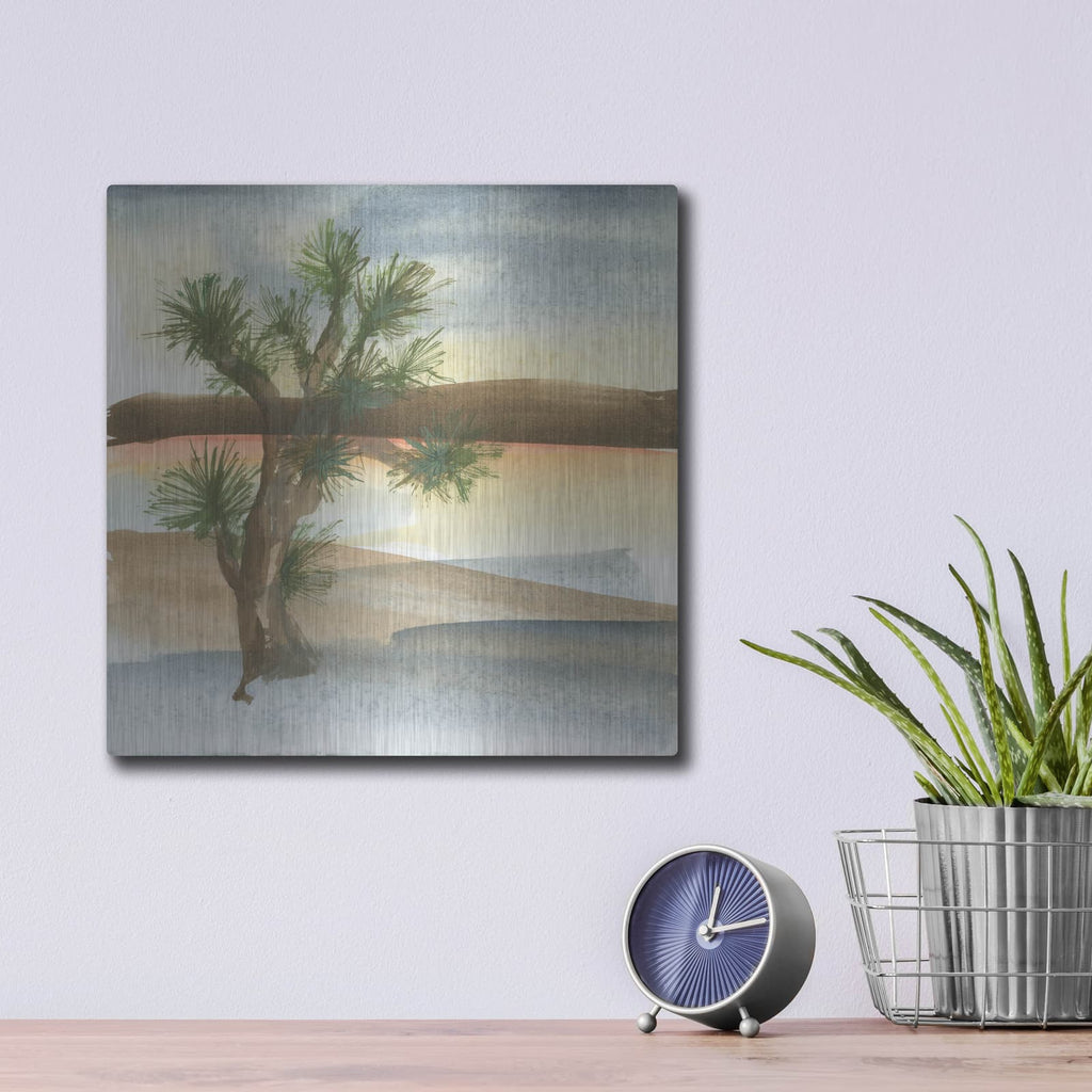 'Desert Joshua Tree' by Chris Paschke – Metal Wall Art, 12x12 room view