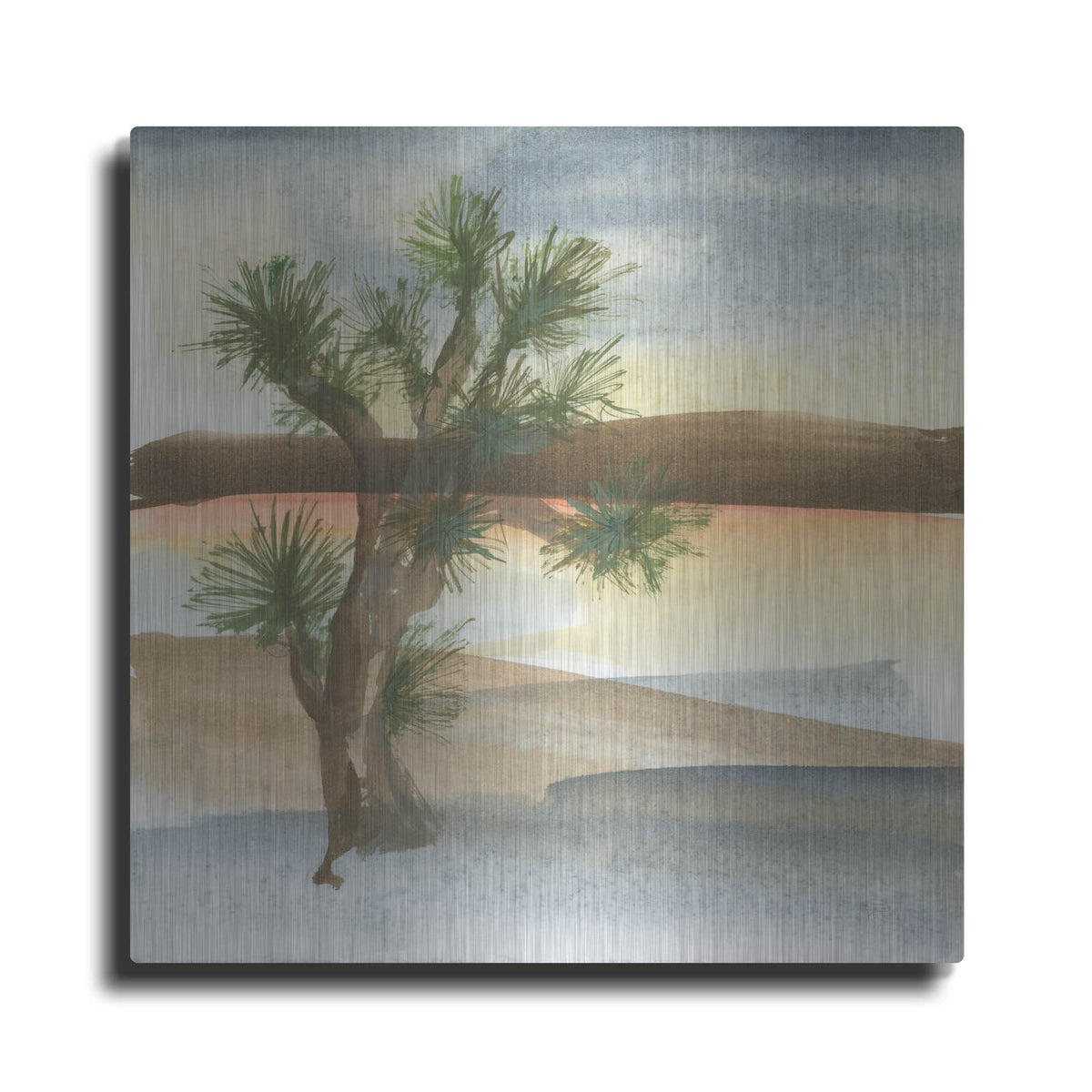 'Desert Joshua Tree' by Chris Paschke – Metal Wall Art
