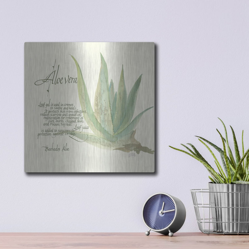 'Aloe Vera' by Chris Paschke – Metal Wall Art, 12x12 room view