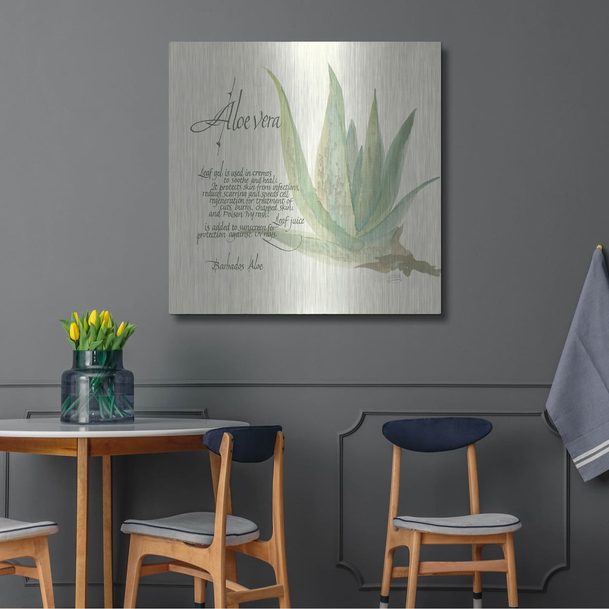 'Aloe Vera' by Chris Paschke – Metal Wall Art, 36x36 room view
