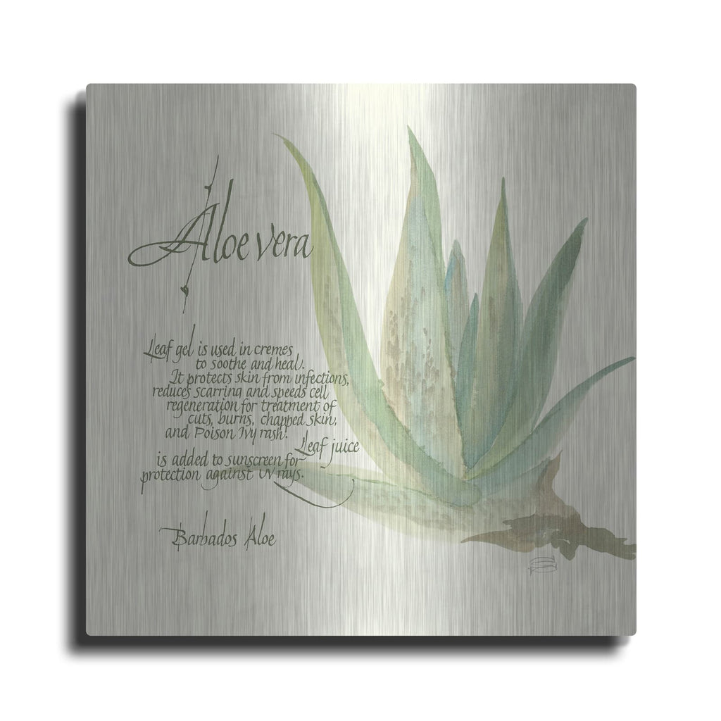 'Aloe Vera' by Chris Paschke – Metal Wall Art