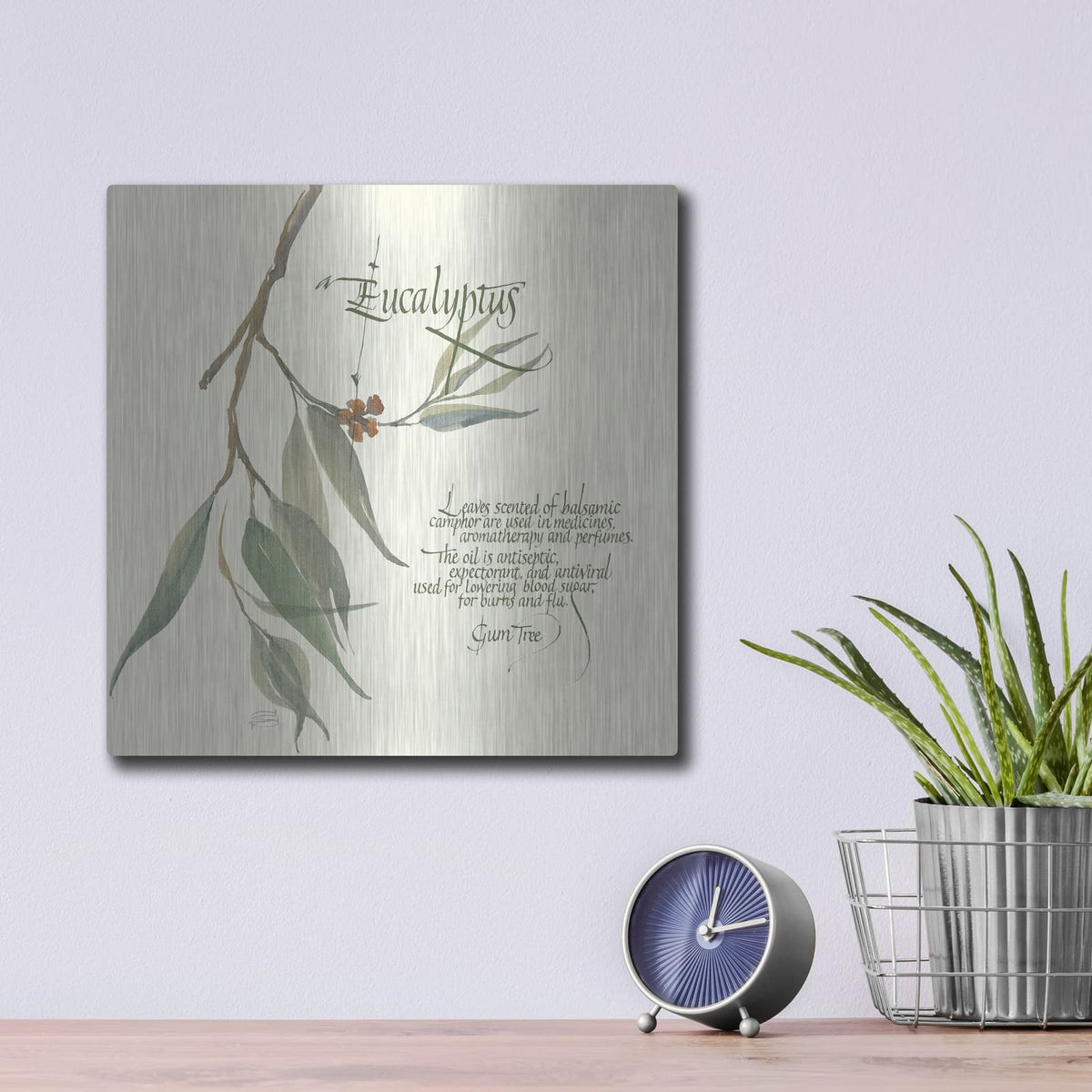 'Eucalyptus' by Chris Paschke – Metal Wall Art, 12x12 room view