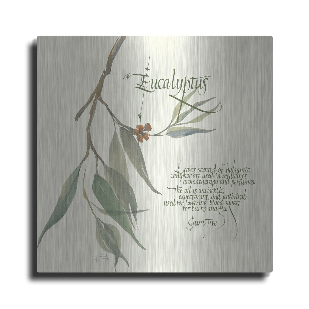 'Eucalyptus' by Chris Paschke – Metal Wall Art