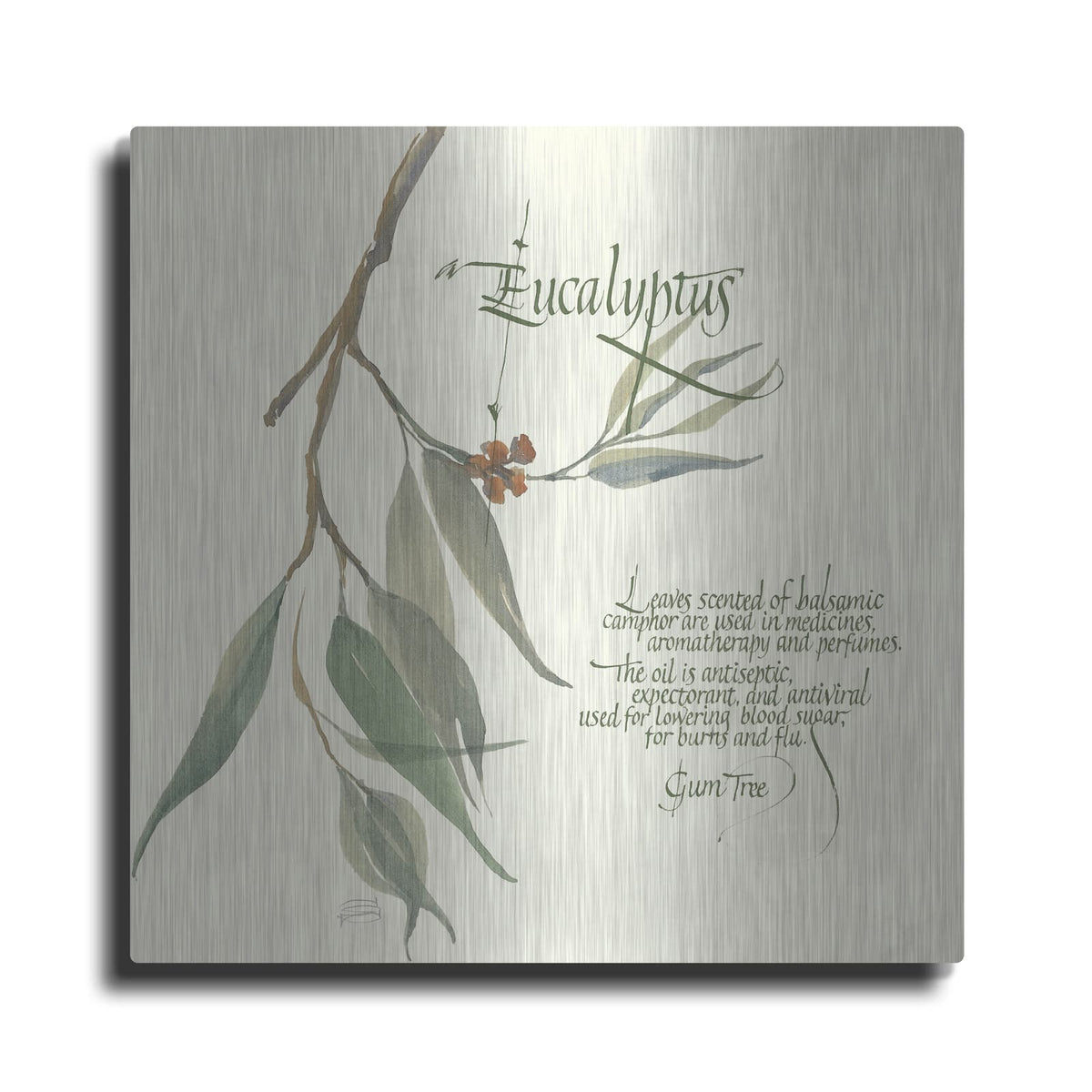 'Eucalyptus' by Chris Paschke – Metal Wall Art