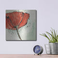 'Not A California Poppy 1' by Chris Paschke – Metal Wall Art, 12x12 room view