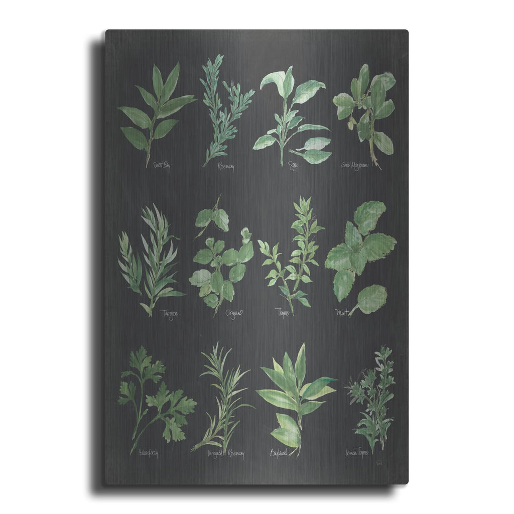 'Herb Chart On Black' by Chris Paschke – Metal Wall Art