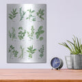 'Herb Chart' by Chris Paschke – Metal Wall Art, 12x16 room view