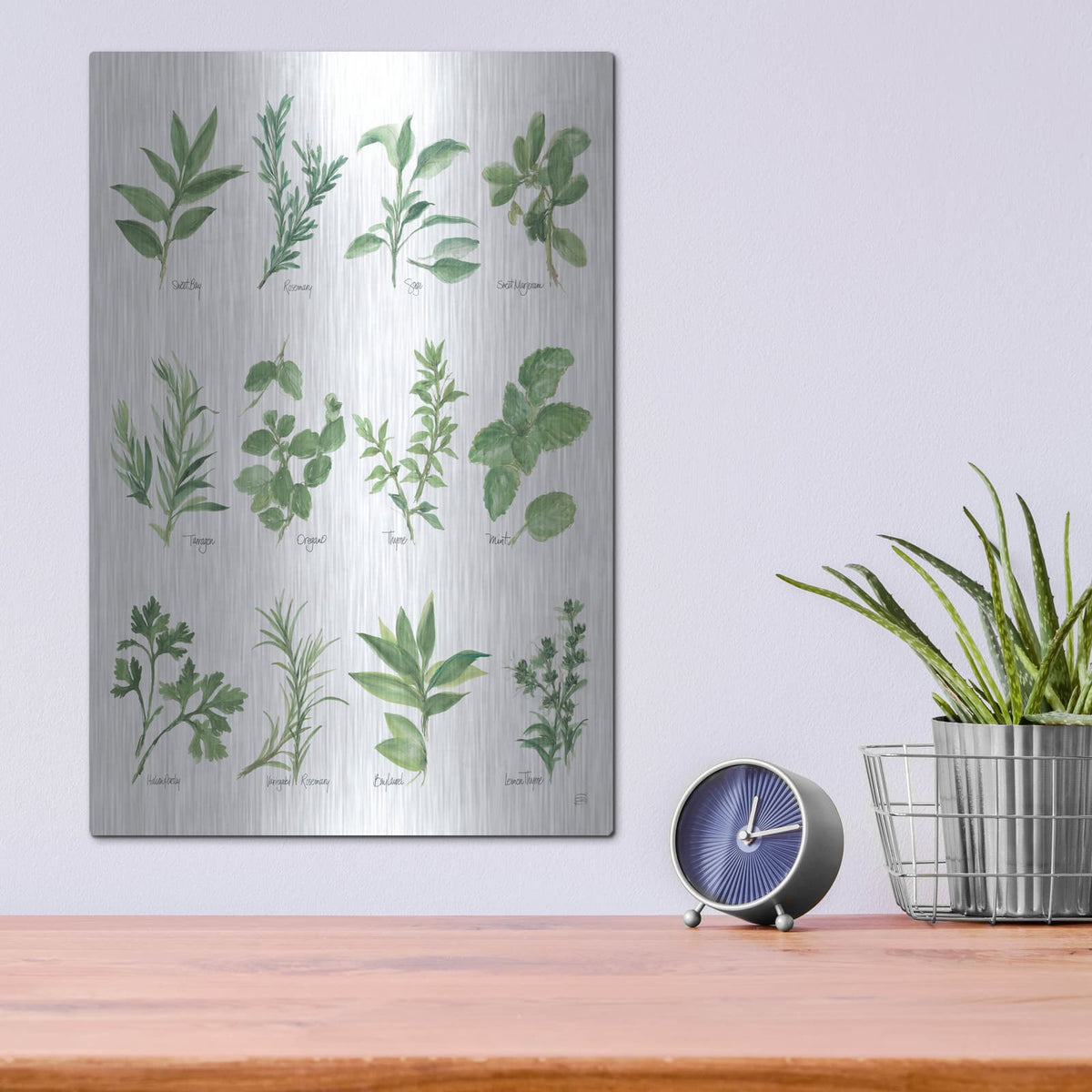 'Herb Chart' by Chris Paschke – Metal Wall Art, 12x16 room view