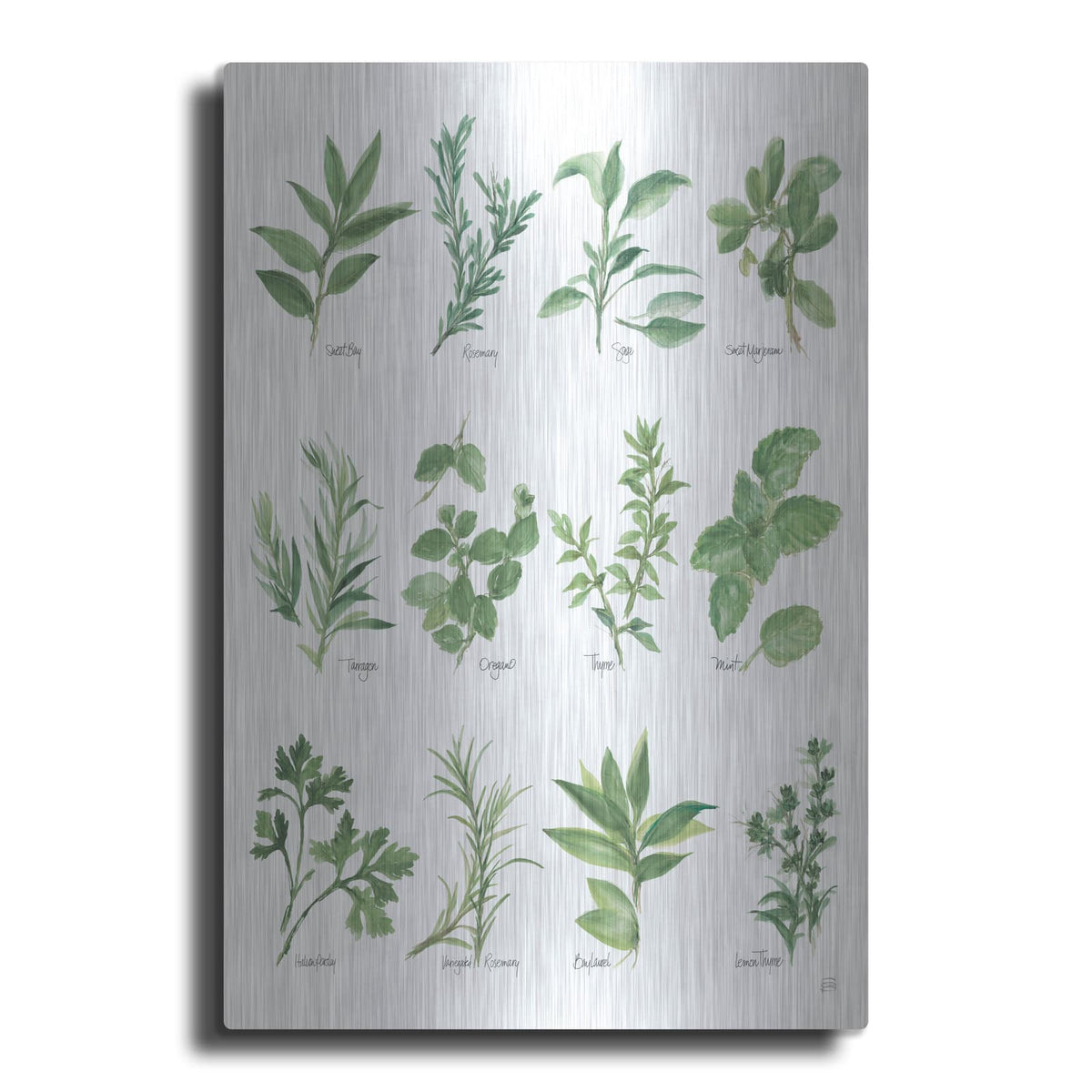 'Herb Chart' by Chris Paschke – Metal Wall Art