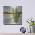 'Desert Yucca' by Chris Paschke – Metal Wall Art, 12x12 room view