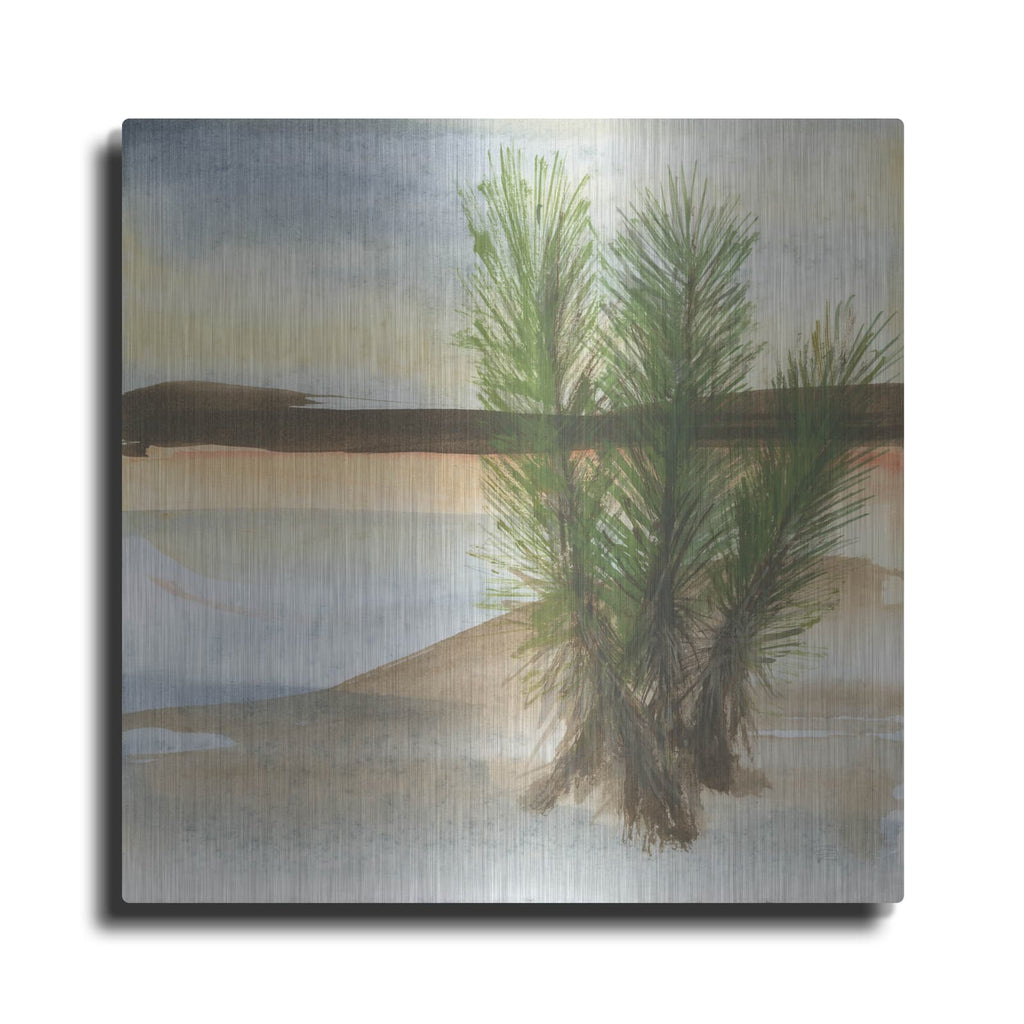 'Desert Yucca' by Chris Paschke – Metal Wall Art