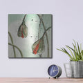 'Not A California Poppy 2' by Chris Paschke – Metal Wall Art, 12x12 room view