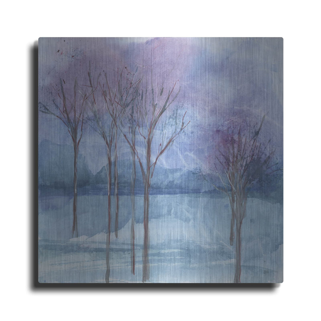 'Evening Serenade 1' by Chris Paschke – Metal Wall Art