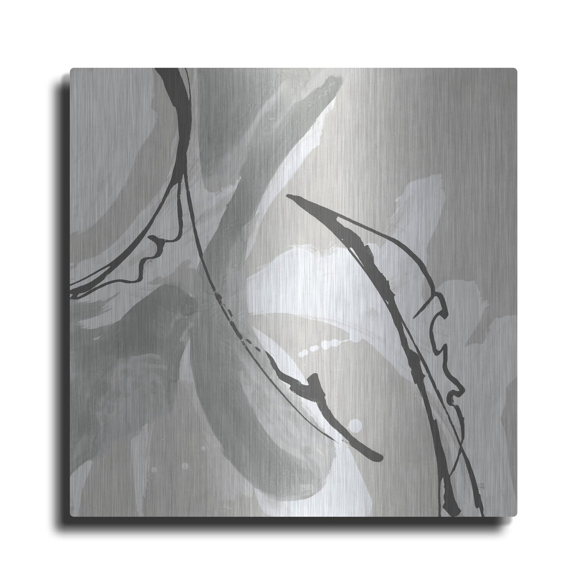 'Touch Of Gray 6' by Chris Paschke – Metal Wall Art