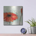'Not A California Poppy 3' by Chris Paschke – Metal Wall Art, 12x12 room view