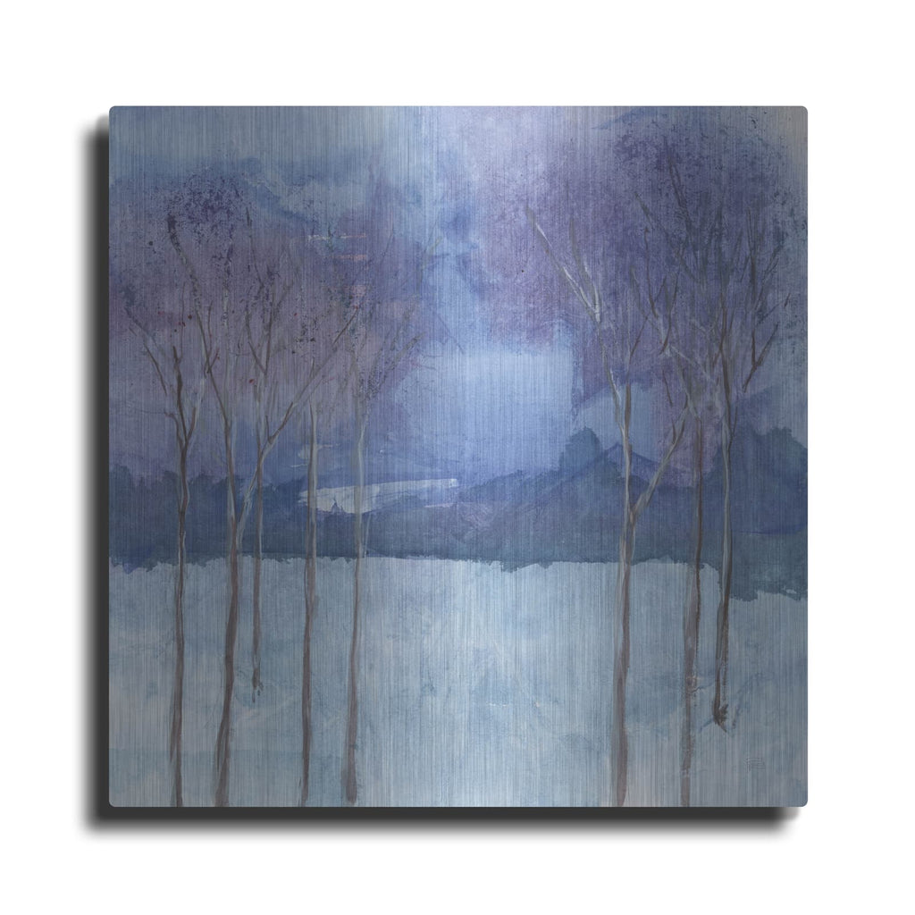 'Evening Serenade 2' by Chris Paschke – Metal Wall Art