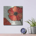 'Not A California Poppy 4' by Chris Paschke – Metal Wall Art, 12x12 room view