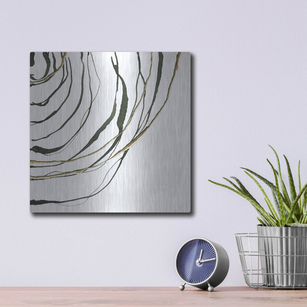 'Not Quite Concentric 4' by Chris Paschke – Metal Wall Art, 12x12 room view