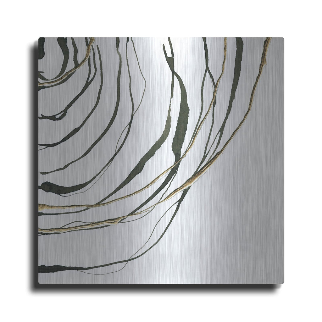 'Not Quite Concentric 4' by Chris Paschke – Metal Wall Art