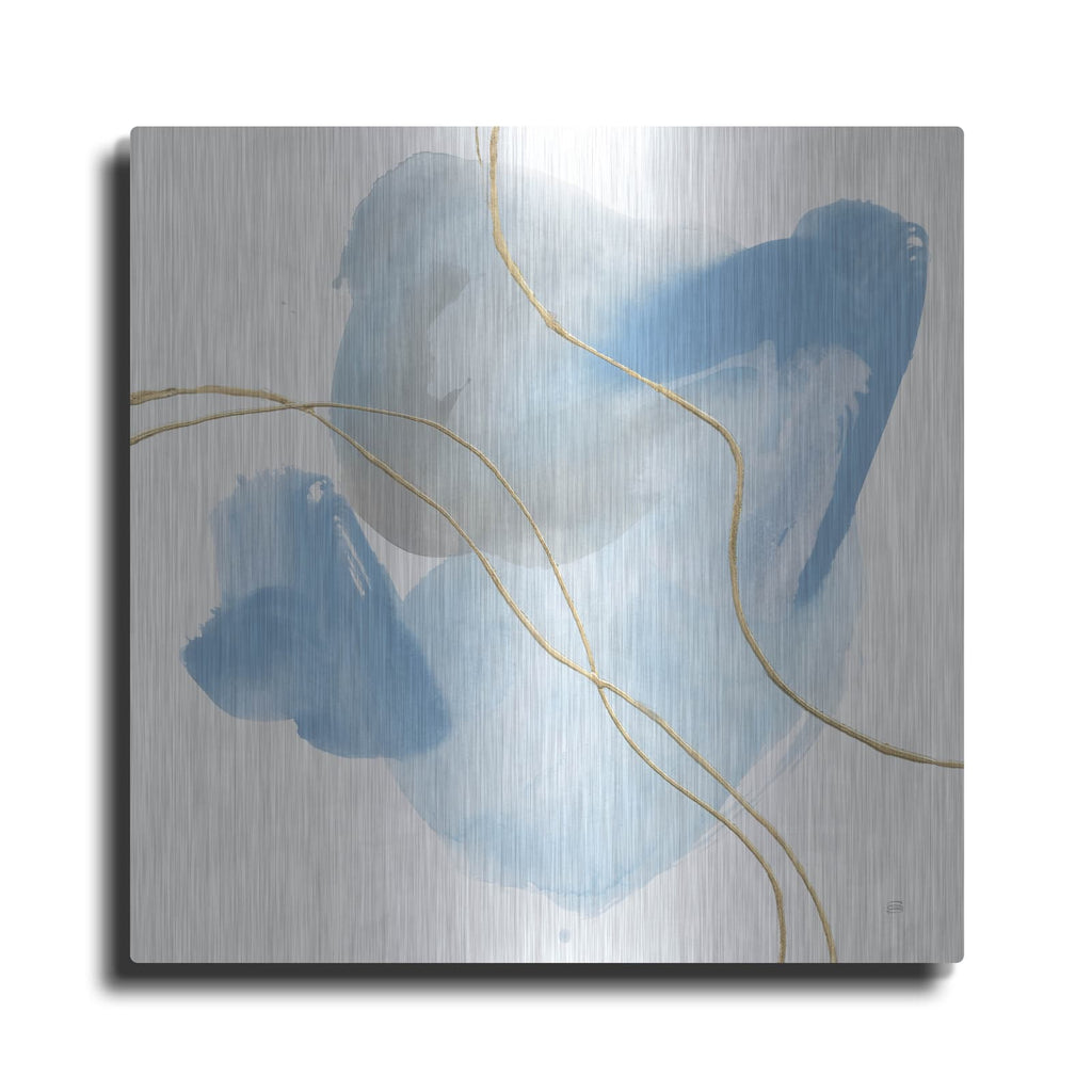 'Organic Vision 1' by Chris Paschke – Metal Wall Art