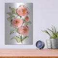 'Smooth Rose 1' by Chris Paschke – Metal Wall Art, 12x16 room view