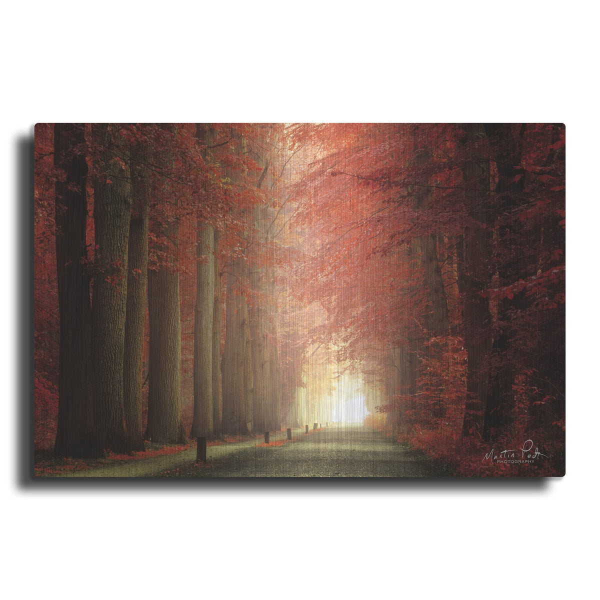 'Way to Red' by Martin Podt – Metal Wall Art