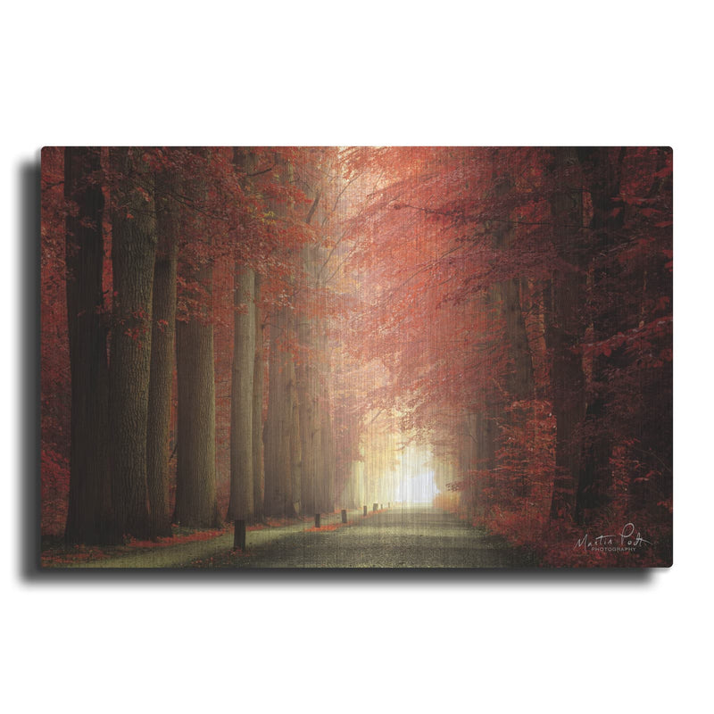 'Way to Red' by Martin Podt – Metal Wall Art