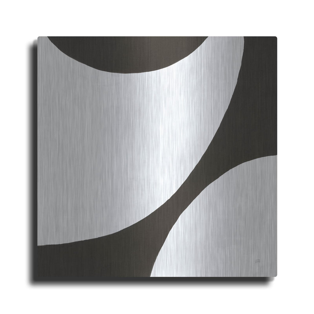 'Curvilinear 6' by Chris Paschke – Metal Wall Art