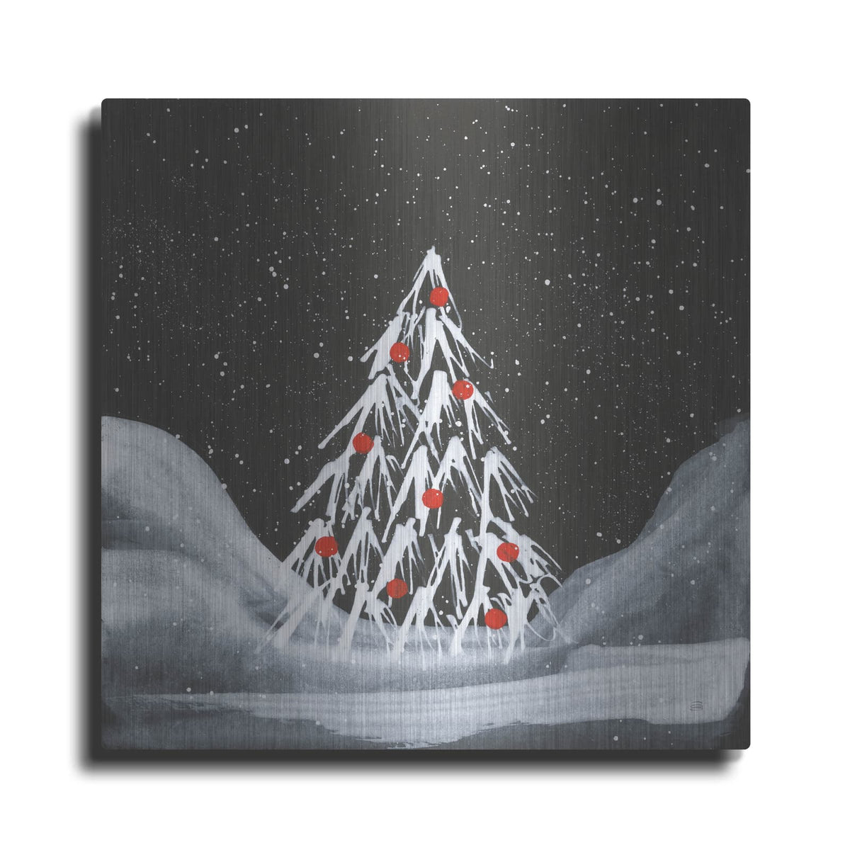 'Winter White 1' by Chris Paschke – Metal Wall Art