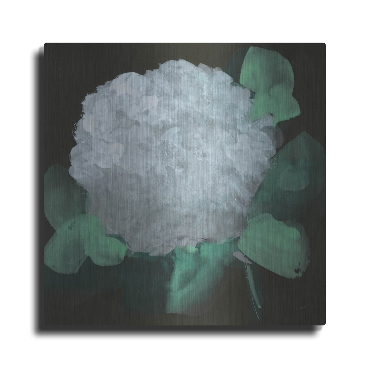 'Hydrangea 1' by Chris Paschke – Metal Wall Art