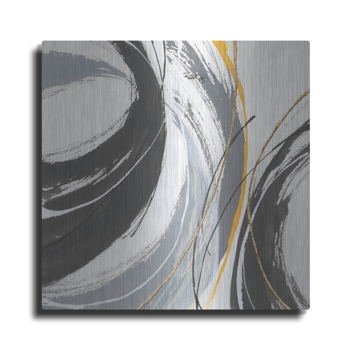 'Webbed 2' by Chris Paschke – Metal Wall Art